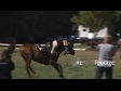 Equestrian Horse Jumping 7 OFFSPEED 1705